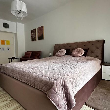 Colette Studio Belleview Sinaia Eksteriør billede