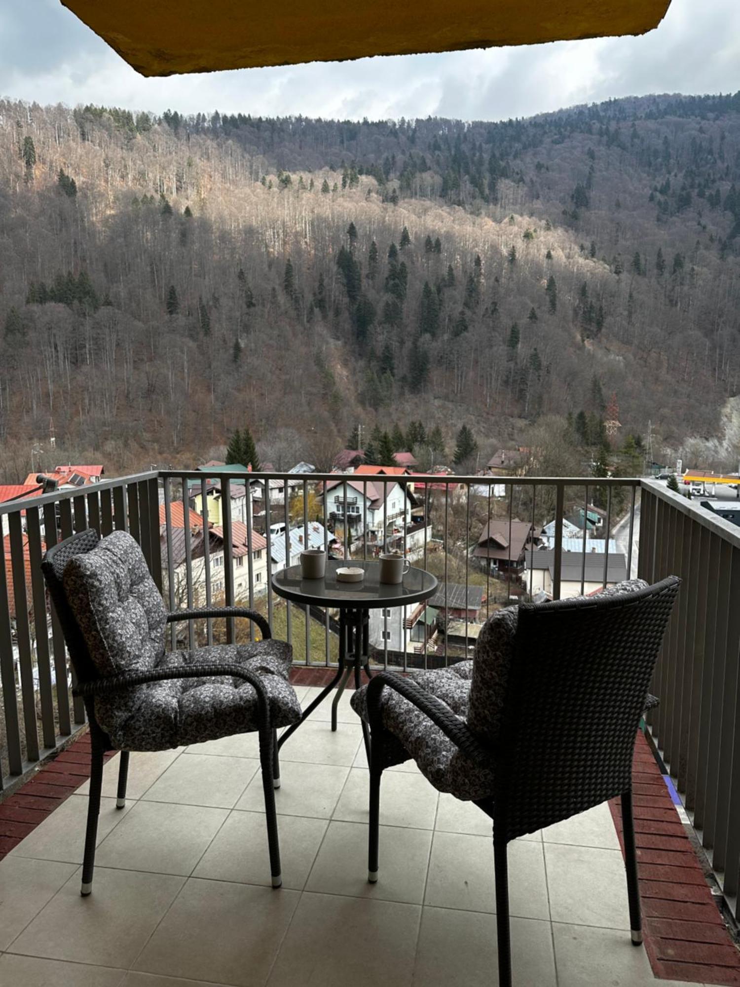 Colette Studio Belleview Sinaia Eksteriør billede